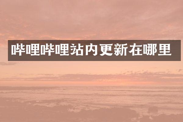 哔哩哔哩站内更新在哪里