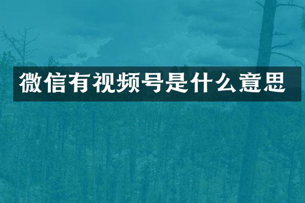 微信有视频号是什么意思