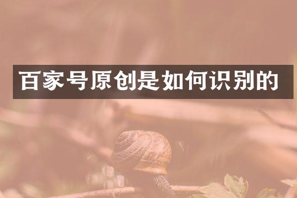 百家号原创是如何识别的