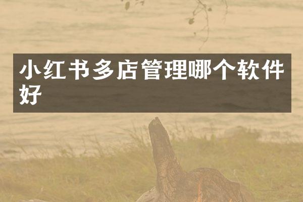 小红书多店管理哪个软件好