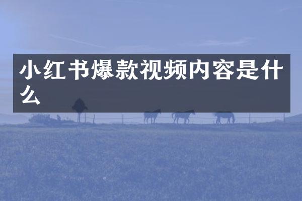 小红书爆款视频内容是什么
