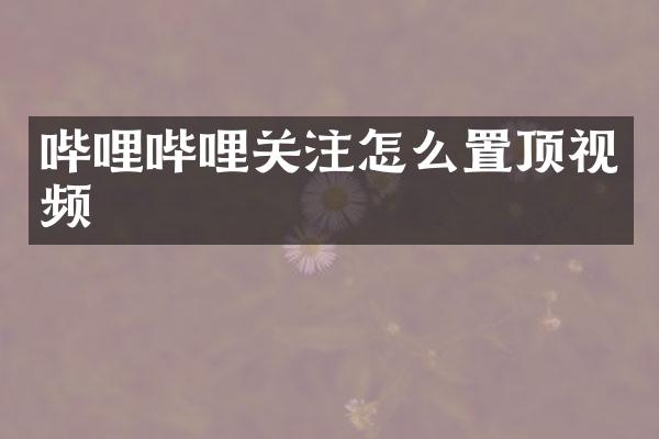 哔哩哔哩关注怎么置顶视频