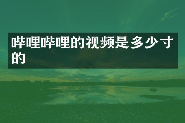 哔哩哔哩的视频是多少寸的
