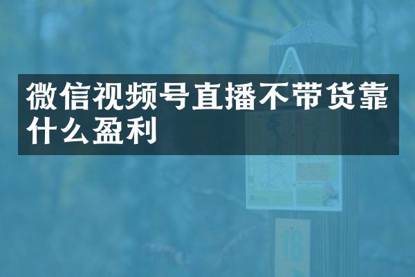 微信视频号直播不带货靠什么盈利