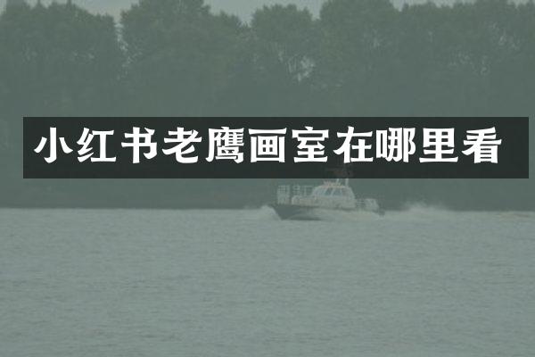 小红书老鹰画室在哪里看
