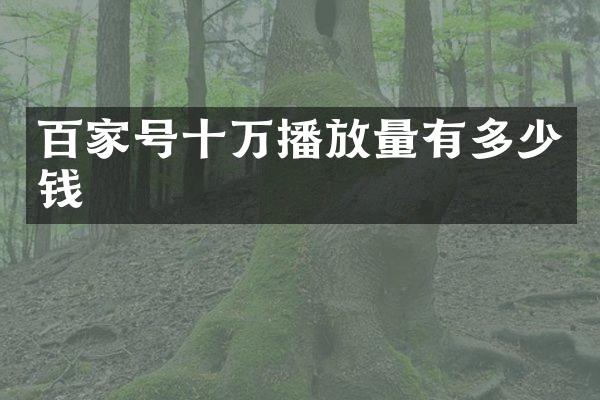 百家号十万播放量有多少钱