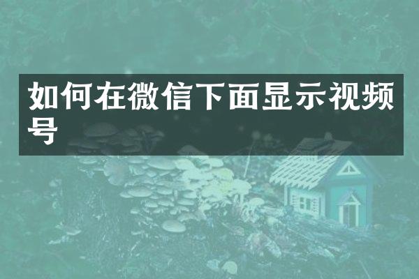 如何在微信下面显示视频号