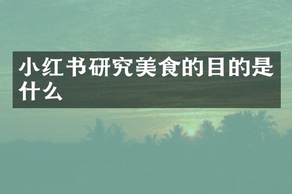 小红书研究美食的目的是什么