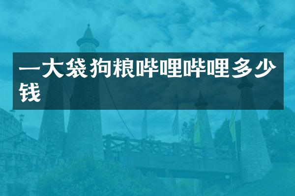一大袋哔哩哔哩多少钱