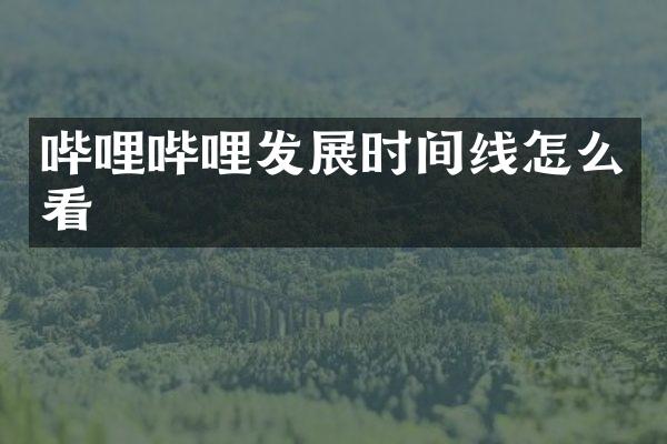 哔哩哔哩发展时间线怎么看