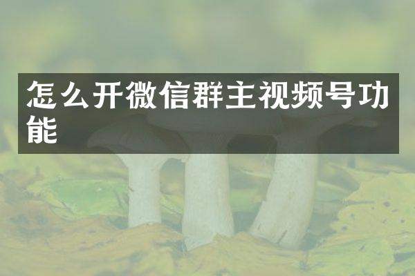 怎么开微信群主视频号功能