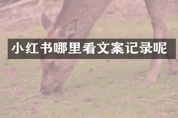 小红书哪里看文案记录呢