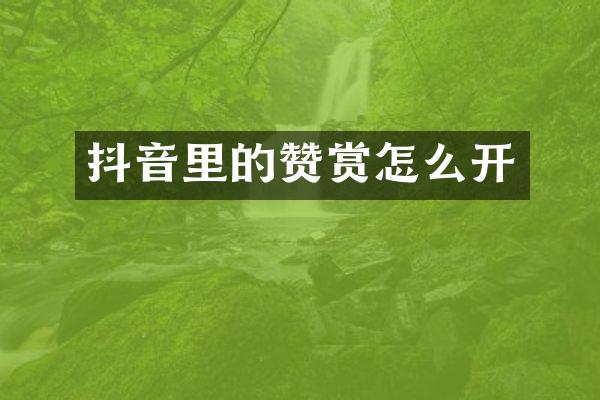 抖音里的赞赏怎么开
