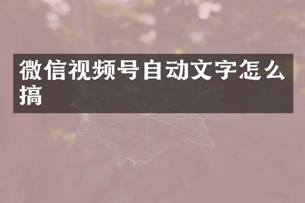 微信视频号自动文字怎么搞