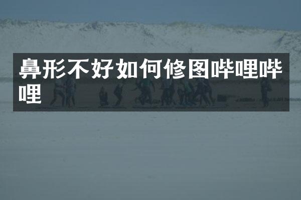 鼻形不好如何修图哔哩哔哩