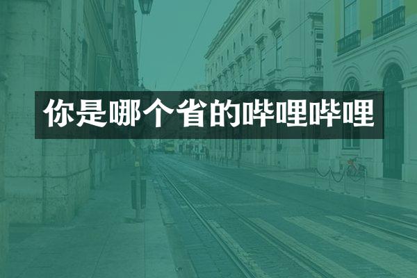 你是哪个省的哔哩哔哩