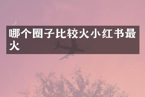 哪个圈子比较火小红书最火
