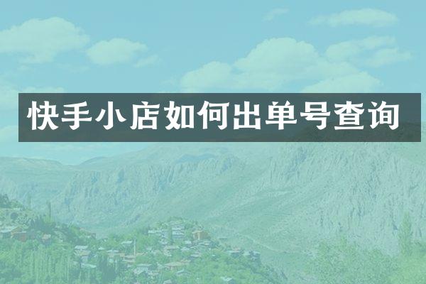 快手小店如何出单号查询