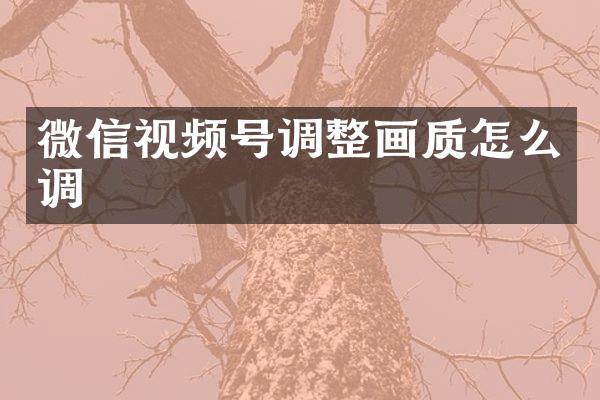 微信视频号调整画质怎么调