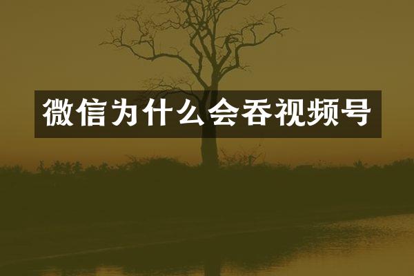 微信为什么会吞视频号
