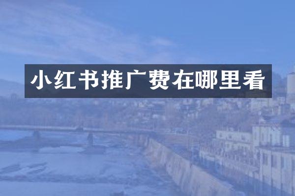小红书推广费在哪里看