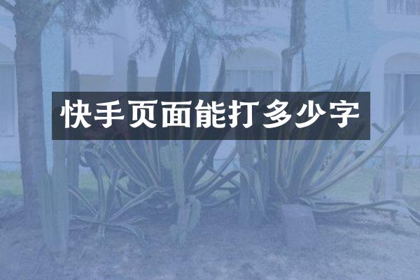 快手页面能打多少字