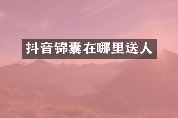 抖音锦囊在哪里送人