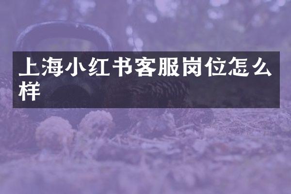 上海小红书客服岗位怎么样
