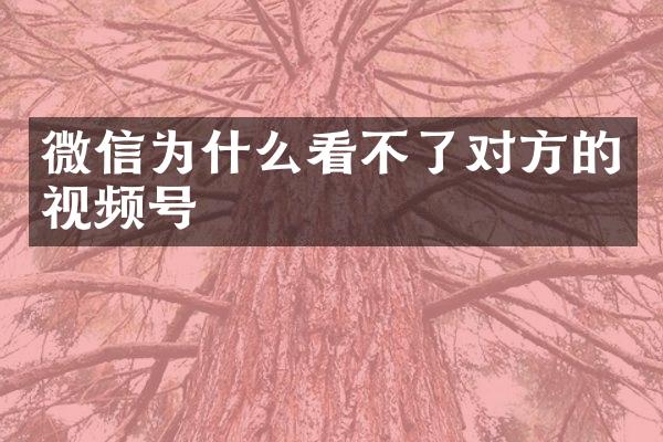 微信为什么看不了对方的视频号