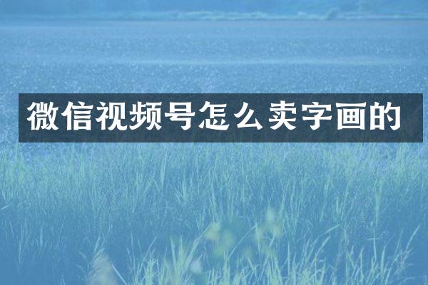 微信视频号怎么卖字画的