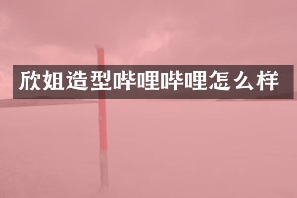 欣姐造型哔哩哔哩怎么样