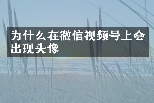 为什么在微信视频号上会出现头像