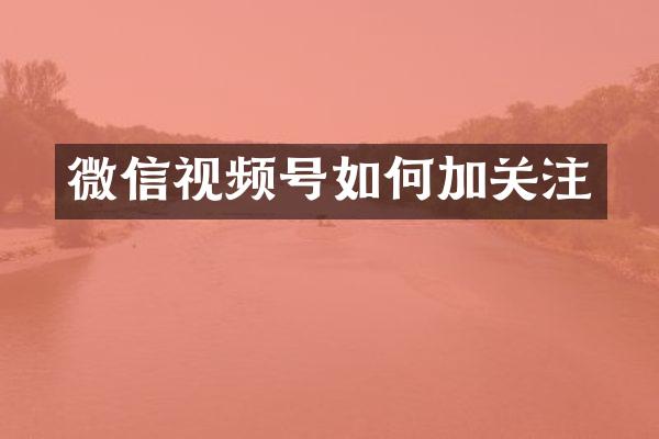 微信视频号如何加关注
