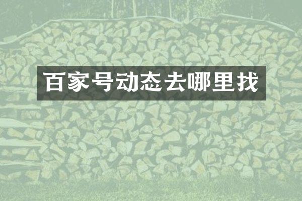 百家号动态去哪里找