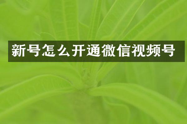 新号怎么开通微信视频号