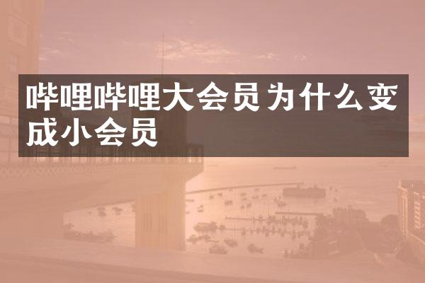 哔哩哔哩大会员为什么变成小会员