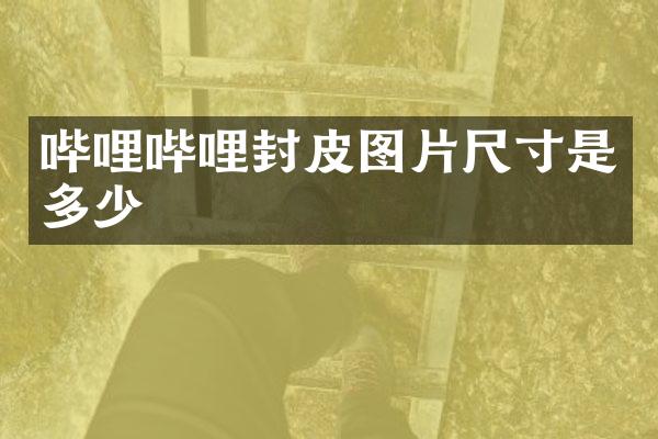 哔哩哔哩封皮图片尺寸是多少
