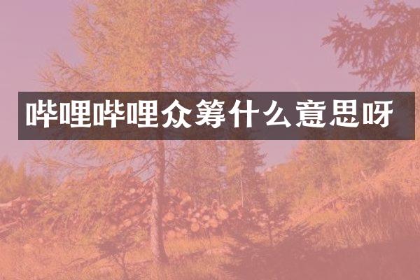 哔哩哔哩众筹什么意思呀
