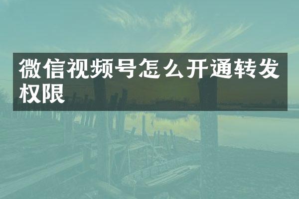 微信视频号怎么开通转发权限