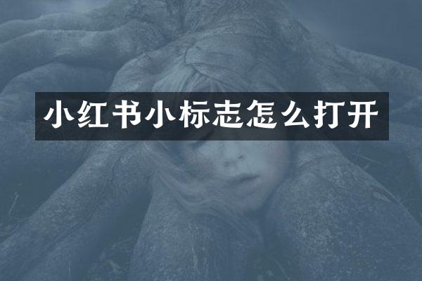 小红书小标志怎么打开