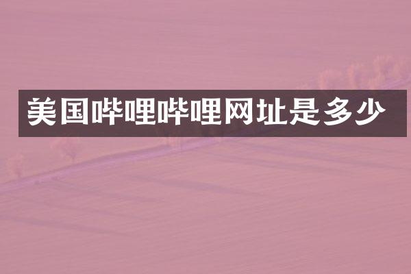 美国哔哩哔哩网址是多少