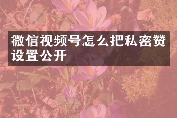微信视频号怎么把私密赞设置公开