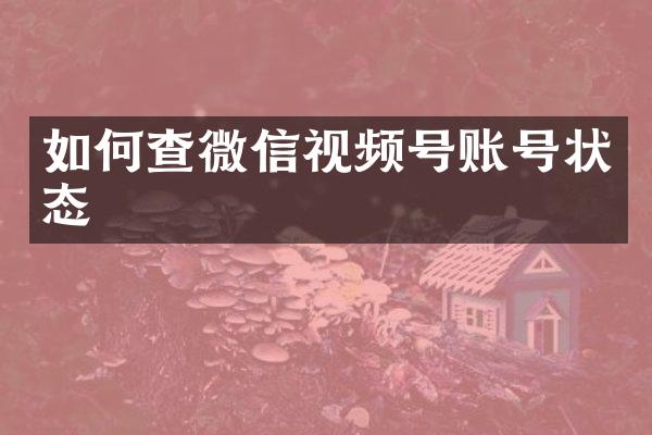 如何查微信视频号账号状态
