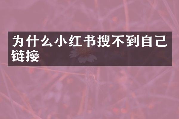 为什么小红书搜不到自己链接