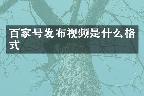 百家号发布视频是什么格式