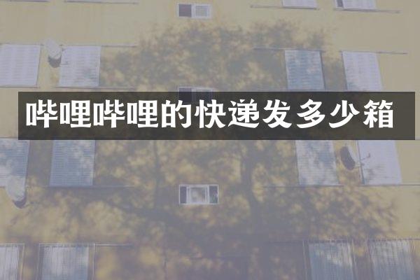 哔哩哔哩的快递发多少箱
