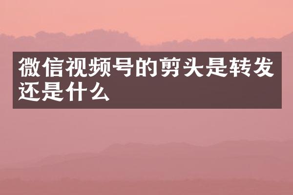 微信视频号的剪头是转发还是什么