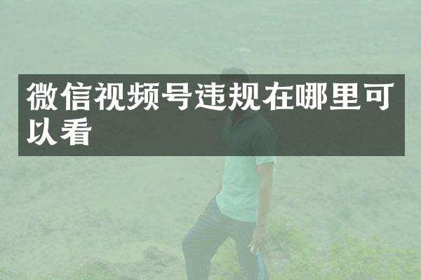 微信视频号违规在哪里可以看