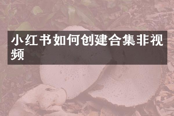 小红书如何创建非视频