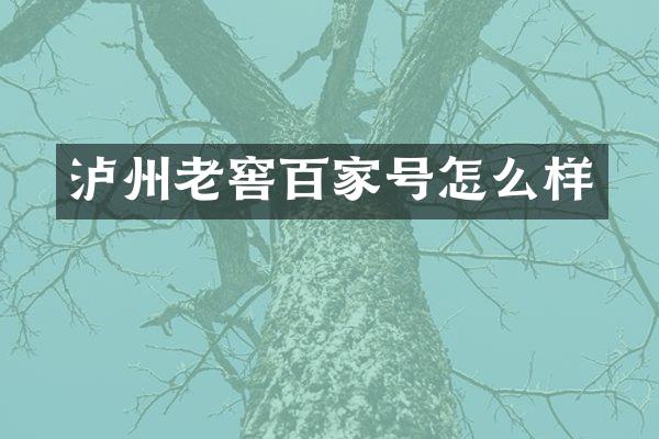 泸州老窖百家号怎么样